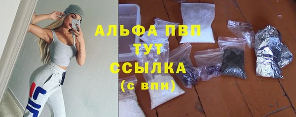 PSILOCYBIN Белокуриха
