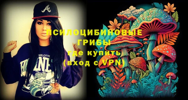 PSILOCYBIN Белокуриха