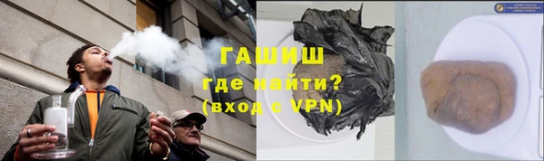 PSILOCYBIN Белокуриха