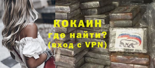 PSILOCYBIN Белокуриха