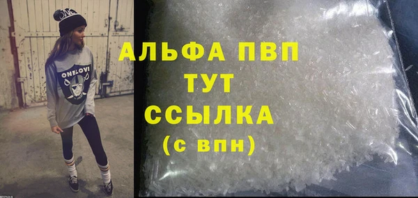 PSILOCYBIN Белокуриха