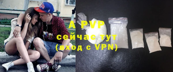 PSILOCYBIN Белокуриха