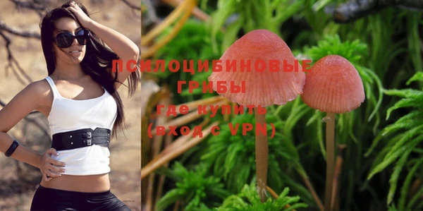 PSILOCYBIN Белокуриха