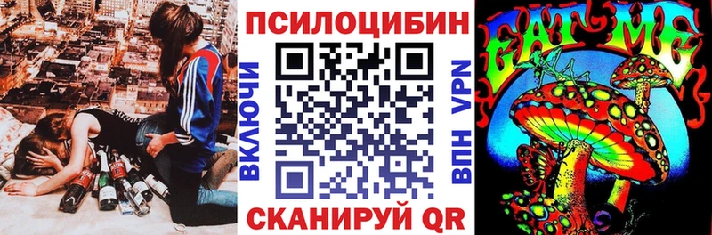Галлюциногенные грибы Psilocybe Гороховец